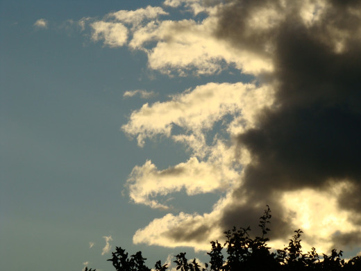 755067 (a): :2048x1536